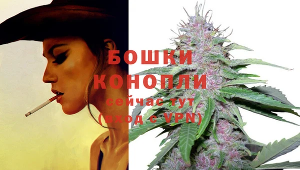 амф Лабытнанги