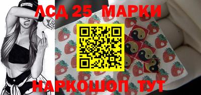 СК Кандалакша
